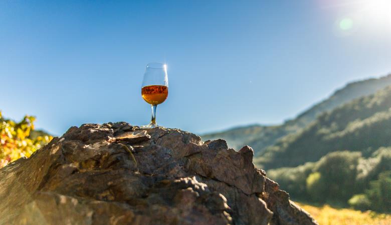 aperitif vigneron banyuls port vendres collioure avril a octobre 2024