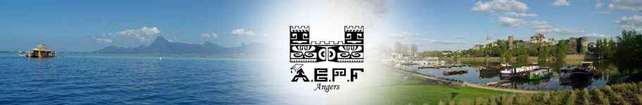 aepf angers logo