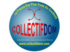 collectifdom logo