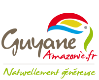 comite tourisme guyane logo