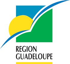 region reunion logo