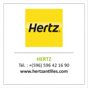 HERTZ 1 300x300