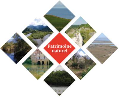LA FONDATION DU PATRIMOINE  SOUTIENT LE PATRIMOINE NATUREL ET RECOMPENSE 8 LAUREATS EN 2021, dont 1 en Haute-Garonne et 1 en Martinique.