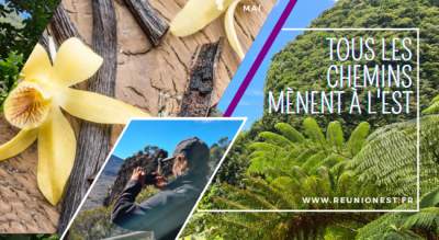 Les activités à faire dans l&#039;Est de la Réunion, en mai 2022,Les carnets de voyage Nos Brochures
