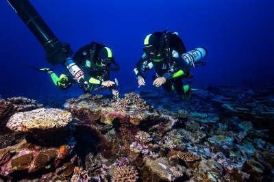 UNDER THE POLE III en polynésie française la plongée d’exploration au chevet des coraux profonds