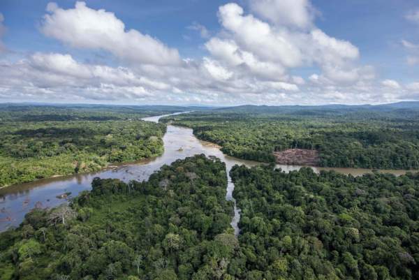 NERIUS Invest investit dans un système sylvicole innovant en Guyane