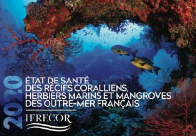 Environnement - Journée mondiale des océans mardi 8 juin 2021