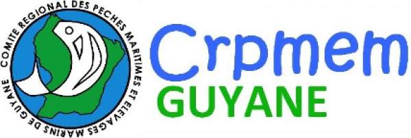 Effort conjoint contre la pêche INN entre les Guyanes : la deuxième inspection conjointe en mer du Département de la pêche du Suriname et du CRPMEM Guyane >