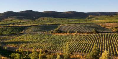 2 Vins des vignerons de  Cascatel: FITOU l&#039;accord parfait rouge et VALLÉE DU PARADIS L&#039;ange gris
