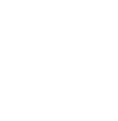 fedom logo 2