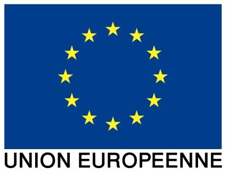 eurodom logo