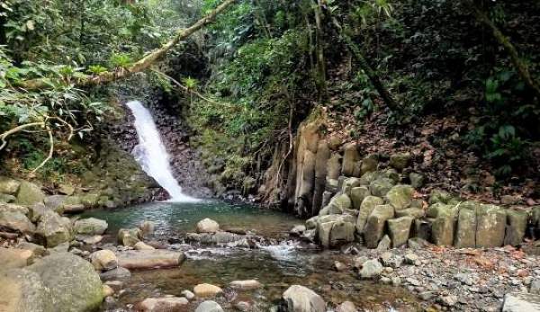 Restitution publique de l’Atlas de biodiversité communale de Vieux-Habitants- vendredi 15 novembre 2024