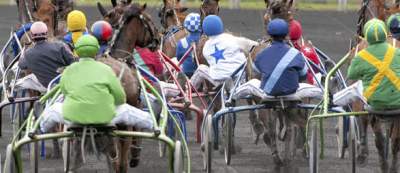 Courses hippiques: nos pronostics pour les quintés de trot.  