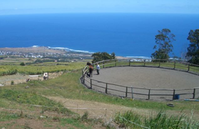 centre equestre du cap