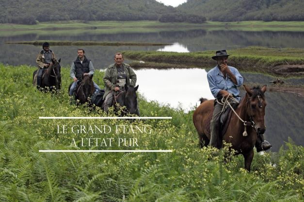 ferme equestre grand etang re