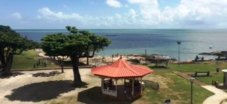 hoteldesamandiers guyane