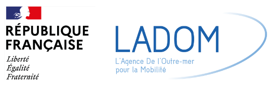 ladom logo bd