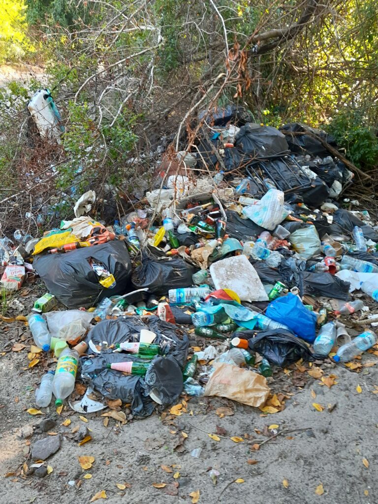 Dépôt sauvage à l’Anse Meunier : l’ONF dénonce une situation alarmante et appelle àla responsabilité citoyenne